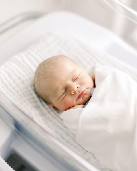 PRESALE The Ultimate Bundle - Numpfer