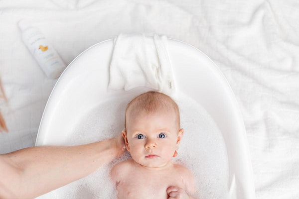 PRESALE The Ultimate Bundle - Numpfer