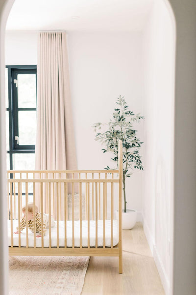 PRESALE The Ultimate Bundle - Numpfer