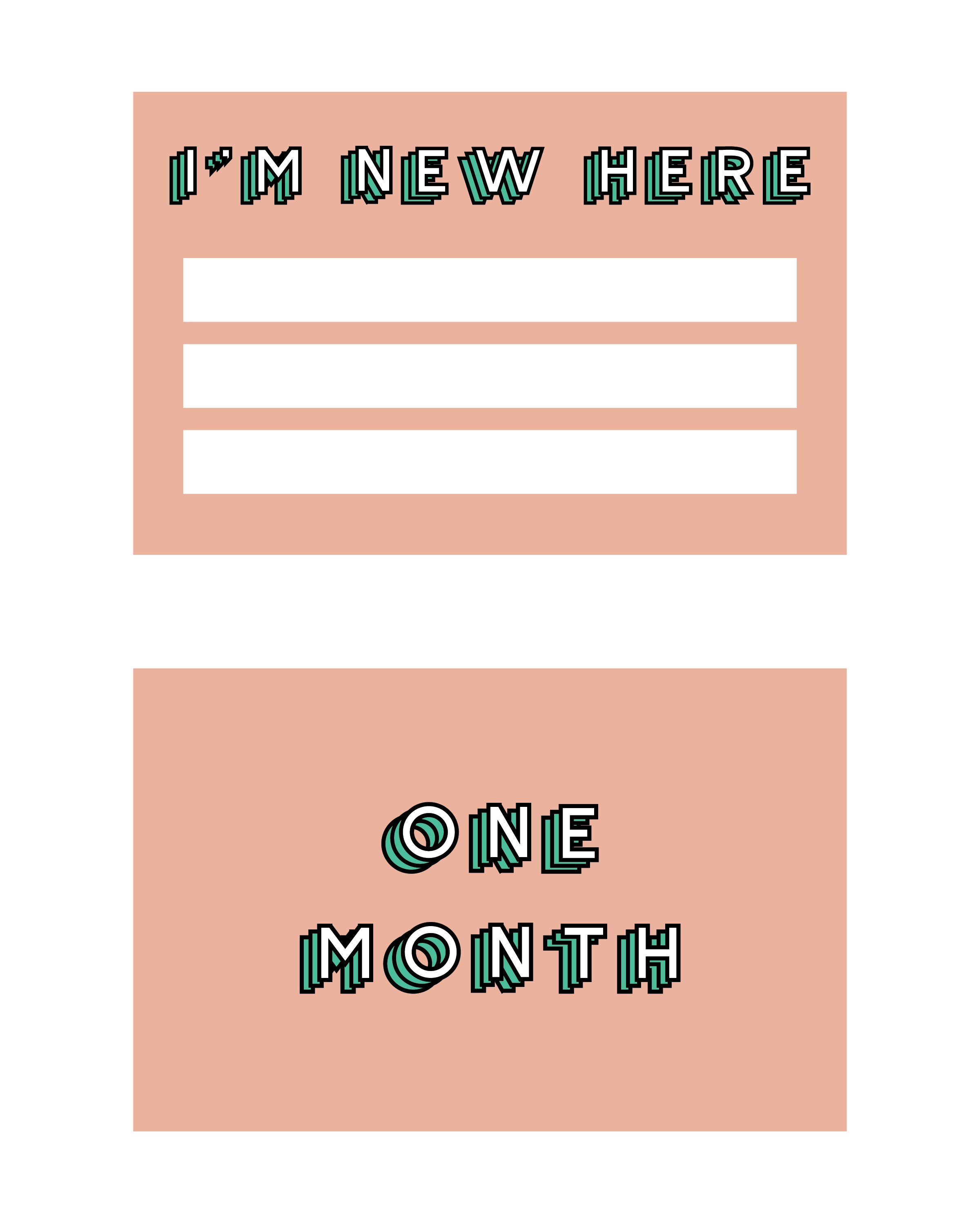 FREE Printable Monthly Milestones Cards | Numpfer